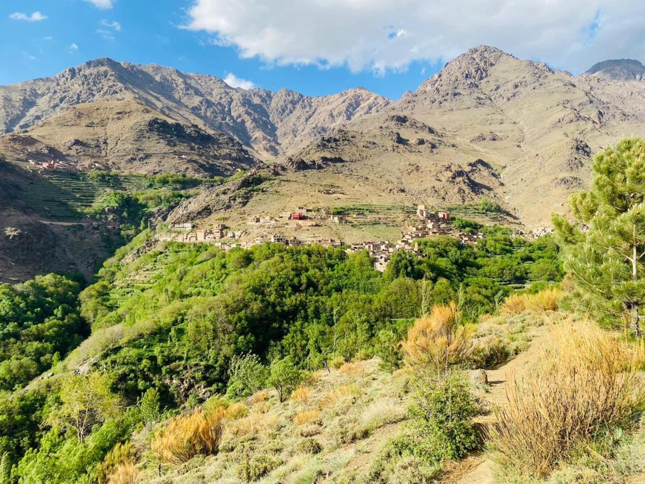 Riad Imnane Lodge Tamgaist الغرفة الصورة